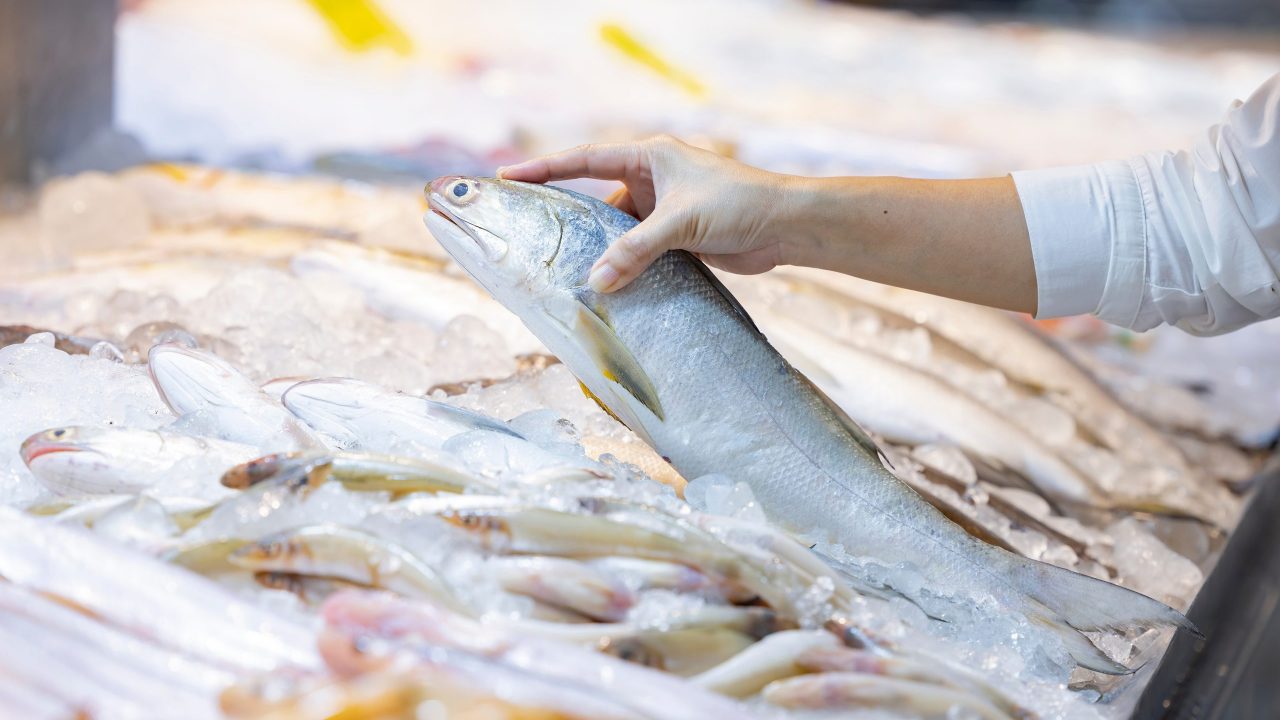 Fourfinger threadfin or Indian salmon fish lies on ice. Shop window with fish products. Woman shopping for fresh threadfin fish in supermarket standing looking at a display of fresh whole fish on ice.
